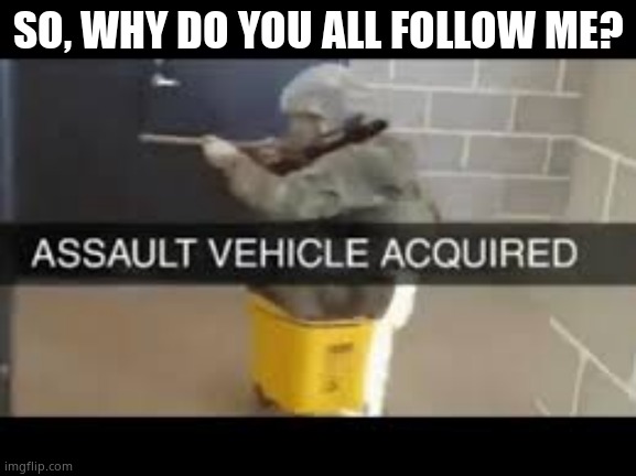 Assault Vehicle Acquired | SO, WHY DO YOU ALL FOLLOW ME? | image tagged in assault vehicle acquired | made w/ Imgflip meme maker