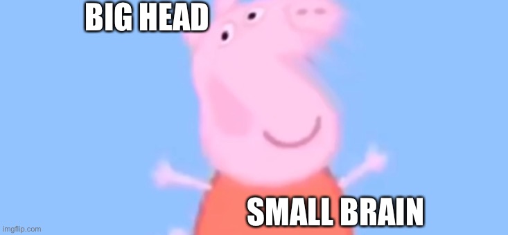 Big Head...Small Brain | BIG HEAD; SMALL BRAIN | image tagged in lol so funny | made w/ Imgflip meme maker