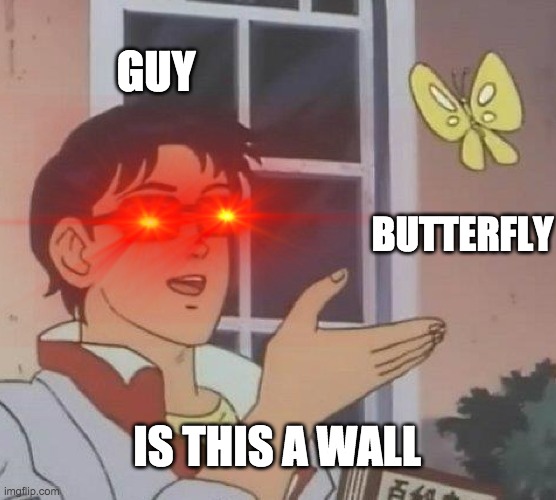 GUY; BUTTERFLY; IS THIS A WALL | image tagged in is this a pigeon,wall,triggered | made w/ Imgflip meme maker