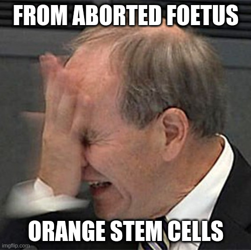 facepalm | FROM ABORTED FOETUS ORANGE STEM CELLS | image tagged in facepalm | made w/ Imgflip meme maker