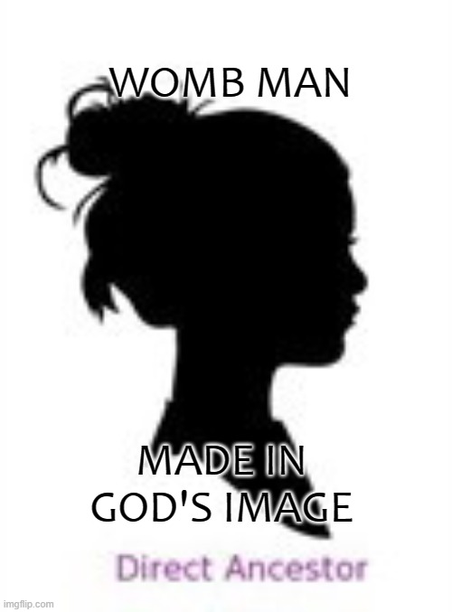 Womb Man | WOMB MAN; MADE IN GOD'S IMAGE | image tagged in one direction,female logic,women rights | made w/ Imgflip meme maker