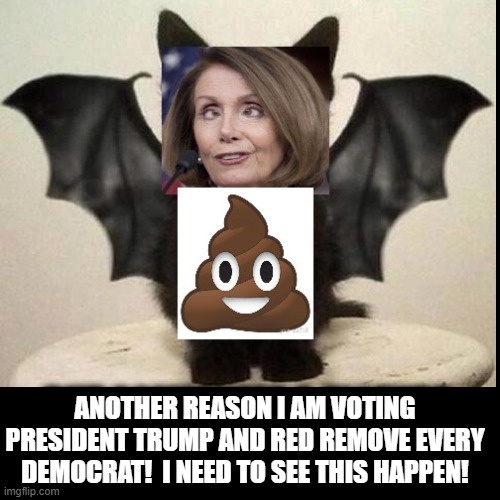 Another Reason I am Voting Trump!  I Need To See This Happen! | image tagged in stupid liberals,pelosi | made w/ Imgflip meme maker