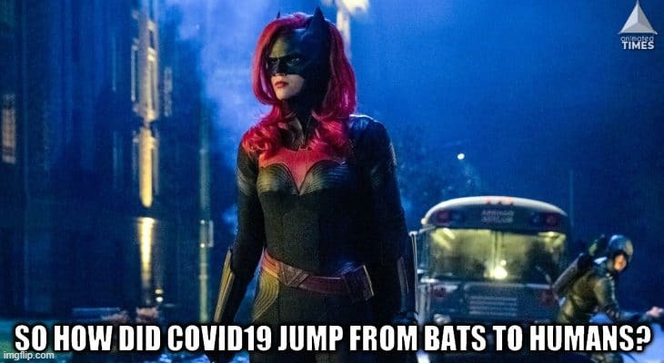 Covid-19 Batwoman | image tagged in batwoman | made w/ Imgflip meme maker