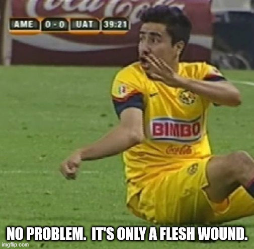 Efrain Juarez | NO PROBLEM.  IT'S ONLY A FLESH WOUND. | image tagged in memes,efrain juarez | made w/ Imgflip meme maker