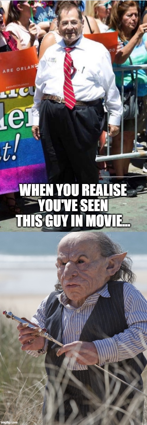 Nadler stars in Harry Potter Movie | WHEN YOU REALISE YOU'VE SEEN THIS GUY IN MOVIE... | image tagged in nadler,harry potter,jerry nadler | made w/ Imgflip meme maker