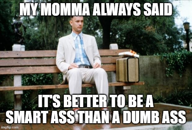 My momma always said |  MY MOMMA ALWAYS SAID; IT'S BETTER TO BE A SMART ASS THAN A DUMB ASS | image tagged in forrest gump | made w/ Imgflip meme maker