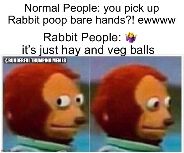 rabbit poop | Normal People: you pick up Rabbit poop bare hands?! ewwww; Rabbit People: 🤷‍♀️ it’s just hay and veg balls; @BUNDERFUL THUMPING MEMES | image tagged in memes,rabbits | made w/ Imgflip meme maker