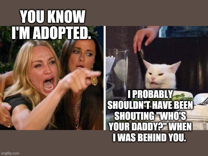 Smudge the cat | YOU KNOW I'M ADOPTED. I PROBABLY SHOULDN'T HAVE BEEN SHOUTING "WHO'S YOUR DADDY?" WHEN I WAS BEHIND YOU. | image tagged in smudge the cat | made w/ Imgflip meme maker