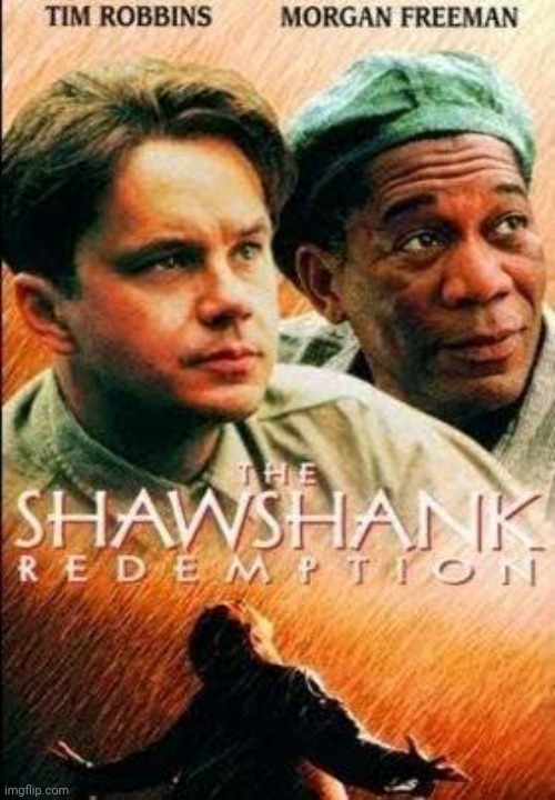I dunno wut kinda taste y'all have, but this is perfect. | image tagged in the shawshank redemption,movies,morgan freeman,tim robbins,bob gunton | made w/ Imgflip meme maker