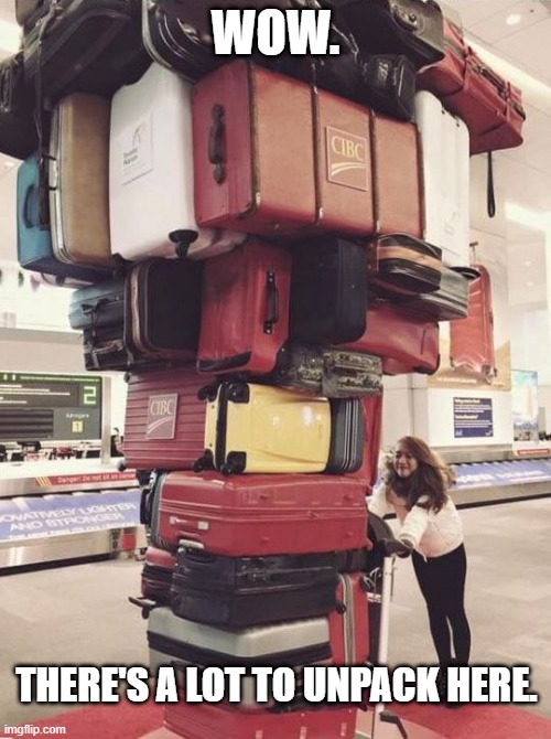 baggage. | WOW. THERE'S A LOT TO UNPACK HERE. | image tagged in luggage | made w/ Imgflip meme maker