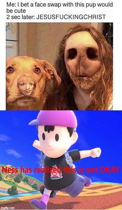 OKAY, THIS IS NOT OKAY | image tagged in super smash bros,earthbound,face swap,cursed,memes | made w/ Imgflip meme maker