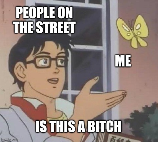 Street Lide | PEOPLE ON THE STREET; ME; IS THIS A BITCH | image tagged in memes,is this a pigeon | made w/ Imgflip meme maker
