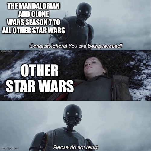 They saved Star Wars from being completely ruined (I don’t hate the sequels but they weren’t the bet) | THE MANDALORIAN AND CLONE WARS SEASON 7 TO ALL OTHER STAR WARS; OTHER STAR WARS | image tagged in please stop resisting | made w/ Imgflip meme maker