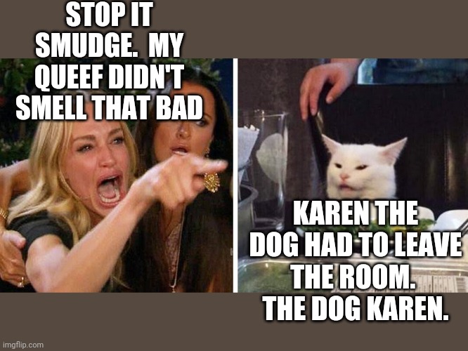 Smudge the cat | STOP IT SMUDGE.  MY QUEEF DIDN'T SMELL THAT BAD; KAREN THE DOG HAD TO LEAVE THE ROOM.   THE DOG KAREN. | image tagged in smudge the cat | made w/ Imgflip meme maker