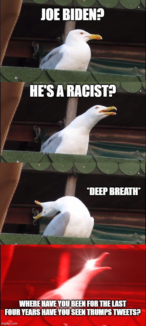 Inhaling Seagull Meme | JOE BIDEN? HE'S A RACIST? *DEEP BREATH* WHERE HAVE YOU BEEN FOR THE LAST FOUR YEARS HAVE YOU SEEN TRUMPS TWEETS? | image tagged in memes,inhaling seagull | made w/ Imgflip meme maker