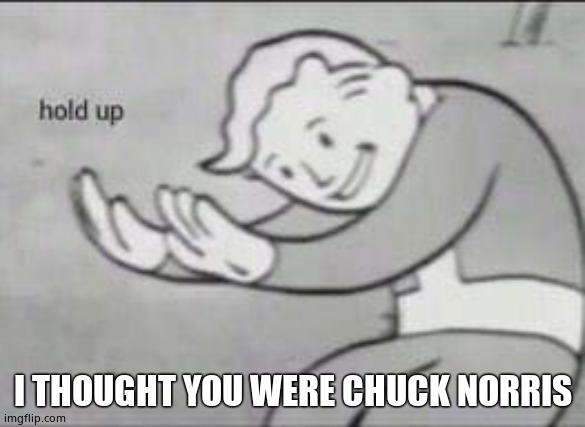 Fallout Hold Up | I THOUGHT YOU WERE CHUCK NORRIS | image tagged in fallout hold up | made w/ Imgflip meme maker
