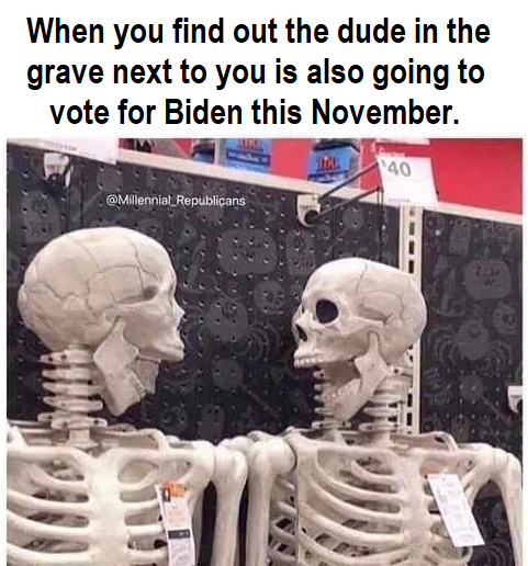 The Dead vote Democrat every election Blank Meme Template