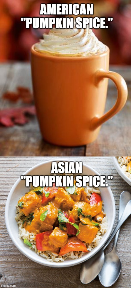 Define "pumpkin spice." | AMERICAN "PUMPKIN SPICE."; ASIAN "PUMPKIN SPICE." | image tagged in pumpkin spice,pumpkin curry,funny,memes,definition,food | made w/ Imgflip meme maker