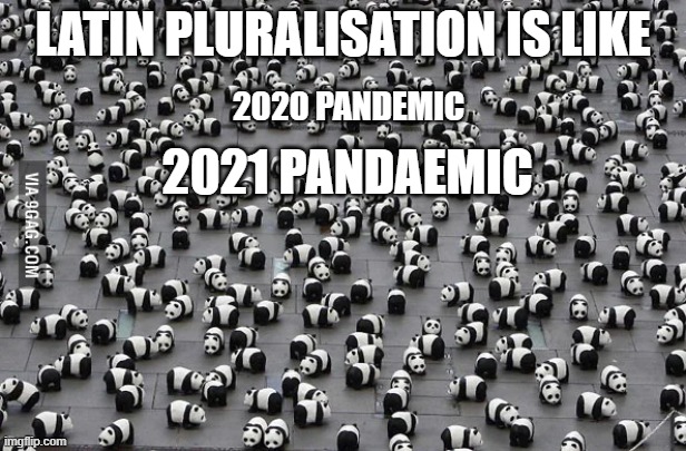 conjugate the verb | LATIN PLURALISATION IS LIKE; 2021 PANDAEMIC; 2020 PANDEMIC | image tagged in fun,memes,pandemic | made w/ Imgflip meme maker