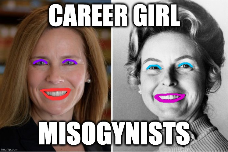 CAREER GIRL; MISOGYNISTS | image tagged in memes,women misogynists,anti-feminists,anti-woman,anti-family,fascist | made w/ Imgflip meme maker