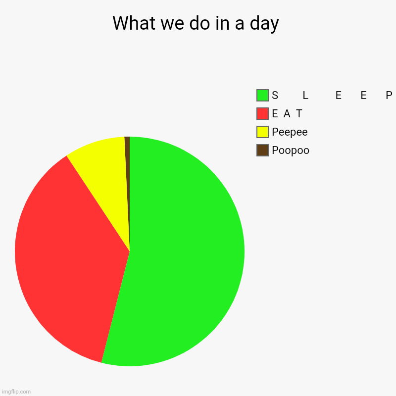 The daily chart. | What we do in a day | Poopoo, Peepee, E  A  T, S         L          E       E       P | image tagged in charts,pie charts | made w/ Imgflip chart maker