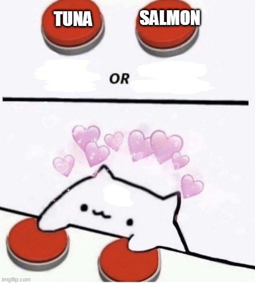 Choose your favourite food | SALMON; TUNA | image tagged in cat pressing two buttons,cat,food,memes | made w/ Imgflip meme maker