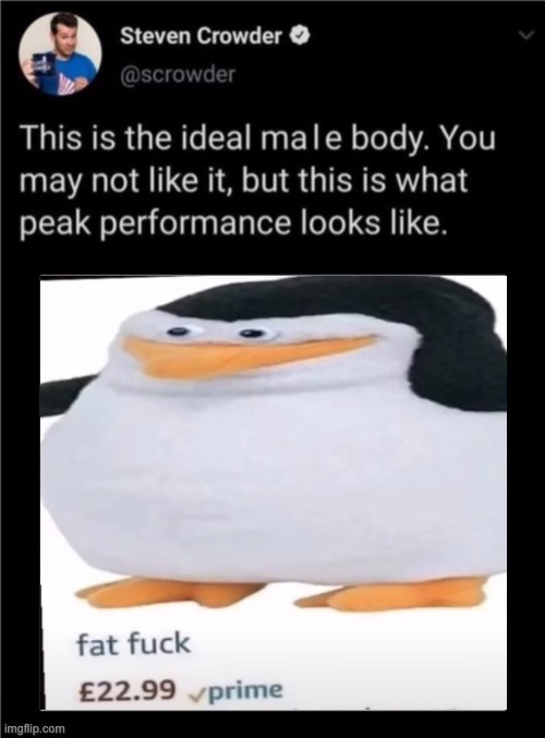 Damm boi he thicc | image tagged in fat fuck,penguin,fitness | made w/ Imgflip meme maker
