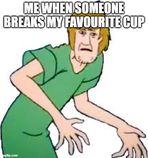 shagg | ME WHEN SOMEONE BREAKS MY FAVOURITE CUP | image tagged in shaggy angy | made w/ Imgflip meme maker