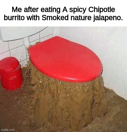 Me after eating A spicy Chipotle burrito with Smoked nature jalapeno. | image tagged in memes,toilet,chipotle | made w/ Imgflip meme maker