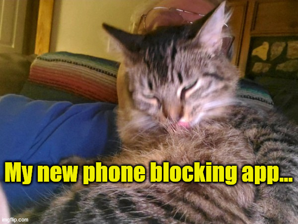 TInkerbell the Kitten | My new phone blocking app... | image tagged in tinkerbell the kitten | made w/ Imgflip meme maker