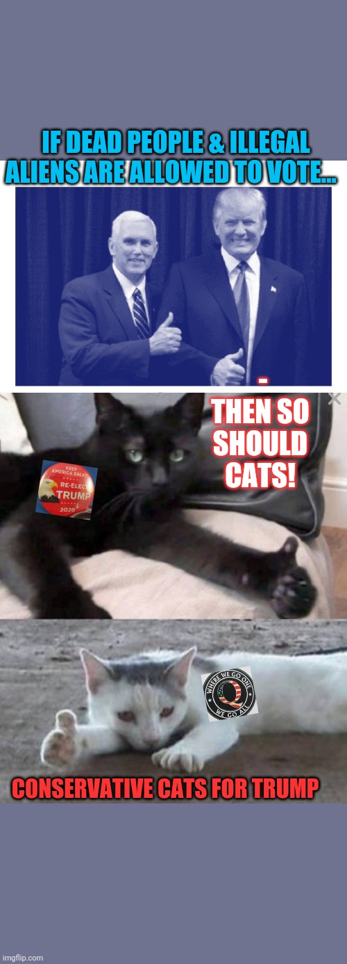 Cat Vote 2020 | IF DEAD PEOPLE & ILLEGAL ALIENS ARE ALLOWED TO VOTE... - THEN SO SHOULD CATS! CONSERVATIVE CATS FOR TRUMP | image tagged in conservative,cats,vote trump,2020 | made w/ Imgflip meme maker