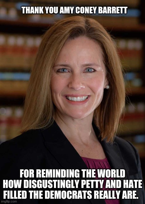 When you sit on the court remember how you were treated and judge accordingly |  THANK YOU AMY CONEY BARRETT; FOR REMINDING THE WORLD HOW DISGUSTINGLY PETTY AND HATE FILLED THE DEMOCRATS REALLY ARE. | image tagged in amy coney barrett,supreme court,confirm barrett,fill the seat,petty democrats,democrats the hate party | made w/ Imgflip meme maker