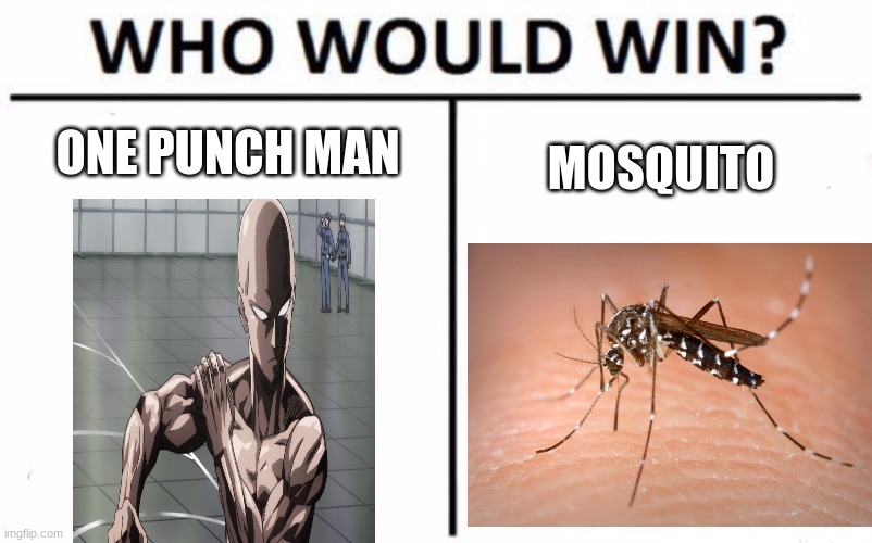 if you have watched one punch man you'll get this | ONE PUNCH MAN; MOSQUITO | image tagged in memes,who would win | made w/ Imgflip meme maker