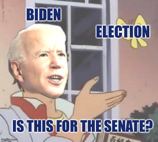 Is this a biden | BIDEN; ELECTION; IS THIS FOR THE SENATE? | image tagged in is this a biden,is this a pigeon,election 2020,joe biden | made w/ Imgflip meme maker