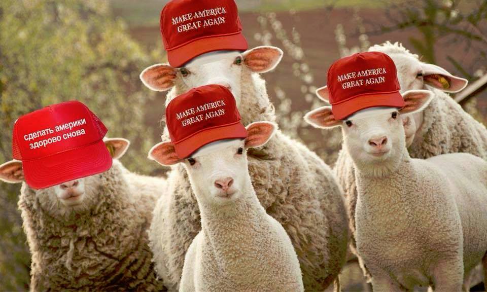 Trump MAGA hats sheep Russian Blank Meme Template