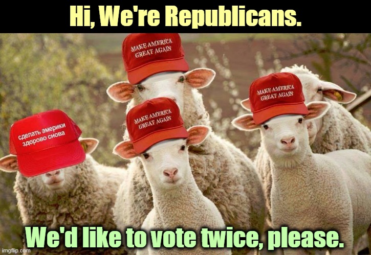 Especially the guy on the left. Voter fraud is very rare, but when it does happen, it's Republicans doing it. | Hi, We're Republicans. We'd like to vote twice, please. | image tagged in trump maga hats sheep russian,republicans,gop,vote,twice | made w/ Imgflip meme maker