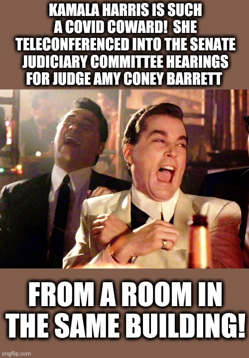 Afraid, and trying non-stop to spread more fear! | KAMALA HARRIS IS SUCH A COVID COWARD!  SHE TELECONFERENCED INTO THE SENATE JUDICIARY COMMITTEE HEARINGS FOR JUDGE AMY CONEY BARRETT; FROM A ROOM IN THE SAME BUILDING! | image tagged in memes,good fellas hilarious,stupid liberals,kamala harris,coronavirus,supreme court | made w/ Imgflip meme maker