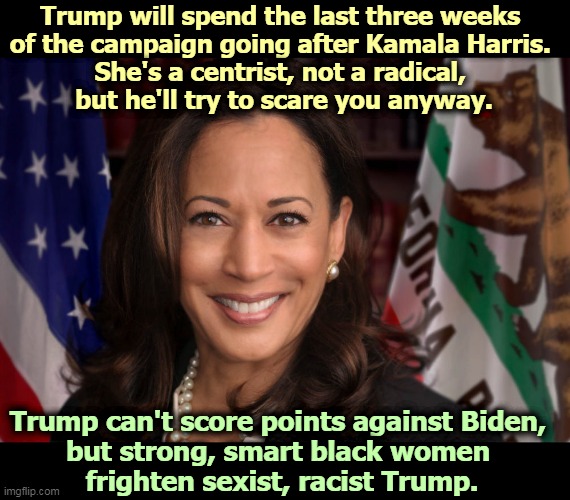 Kamala Harris, Patriot with flag | Trump will spend the last three weeks 
of the campaign going after Kamala Harris. 
She's a centrist, not a radical, 
but he'll try to scare you anyway. Trump can't score points against Biden, 
but strong, smart black women 
frighten sexist, racist Trump. | image tagged in kamala harris,strong,smart,trump,weak,frightened | made w/ Imgflip meme maker