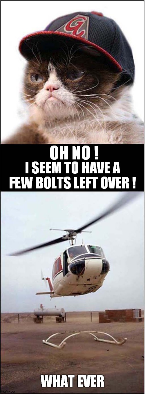 Grumpy The Aeronautical Engineer | OH NO ! I SEEM TO HAVE A FEW BOLTS LEFT OVER ! WHAT EVER | image tagged in grumpy cat,helicopter | made w/ Imgflip meme maker