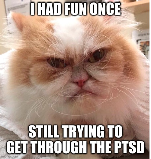 cat | I HAD FUN ONCE; STILL TRYING TO GET THROUGH THE PTSD | image tagged in new grumpy cat | made w/ Imgflip meme maker