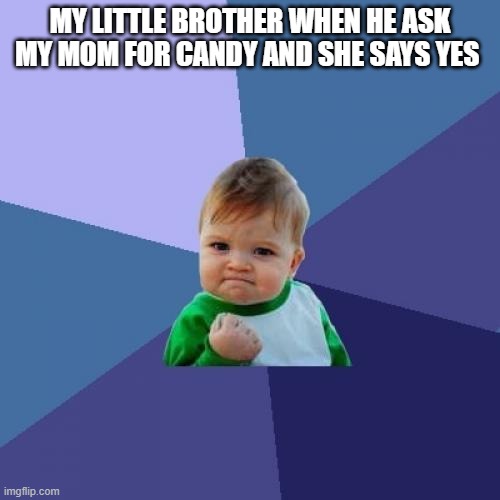 misson complete | MY LITTLE BROTHER WHEN HE ASKS MY MOM FOR CANDY AND SHE SAYS YES | image tagged in memes,success kid | made w/ Imgflip meme maker