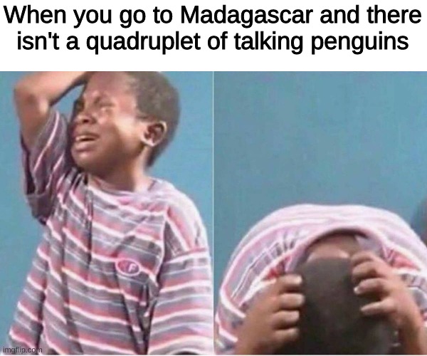 pain | When you go to Madagascar and there isn't a quadruplet of talking penguins | image tagged in crying kid | made w/ Imgflip meme maker