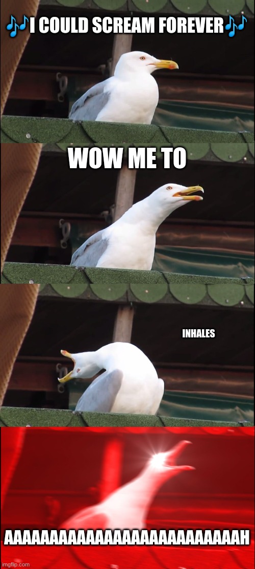 Inhaling Seagull | 🎶I COULD SCREAM FOREVER🎶; WOW ME TO; INHALES; AAAAAAAAAAAAAAAAAAAAAAAAAAH | image tagged in memes,inhaling seagull | made w/ Imgflip meme maker