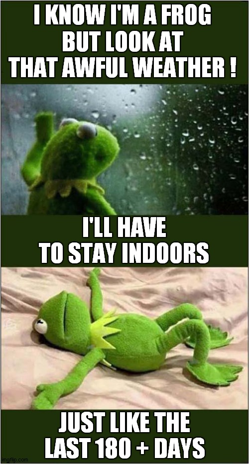 It Is Not Easy Being Green | I KNOW I'M A FROG; BUT LOOK AT THAT AWFUL WEATHER ! I'LL HAVE TO STAY INDOORS; JUST LIKE THE LAST 180 + DAYS | image tagged in kermit,self isolation | made w/ Imgflip meme maker