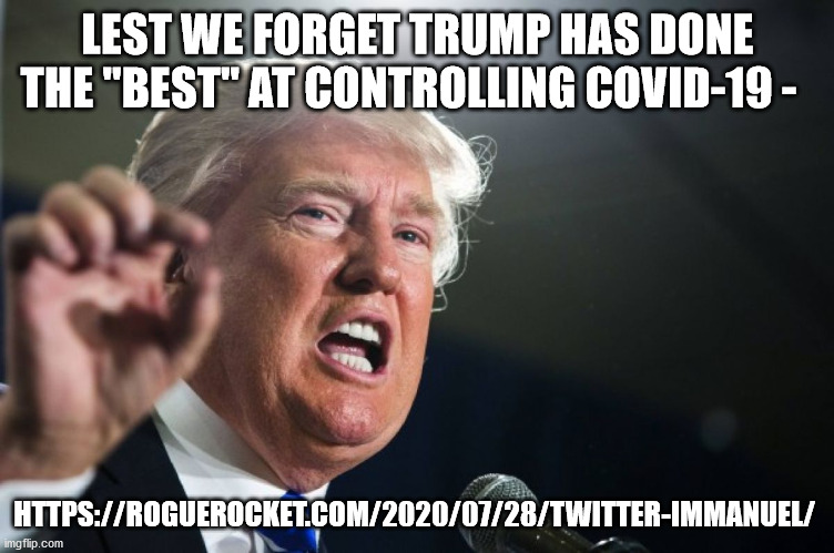 Nobody knows corona like Trump | LEST WE FORGET TRUMP HAS DONE THE "BEST" AT CONTROLLING COVID-19 -; HTTPS://ROGUEROCKET.COM/2020/07/28/TWITTER-IMMANUEL/ | image tagged in donald trump,dr stella immanuel,biden,election 2020 | made w/ Imgflip meme maker
