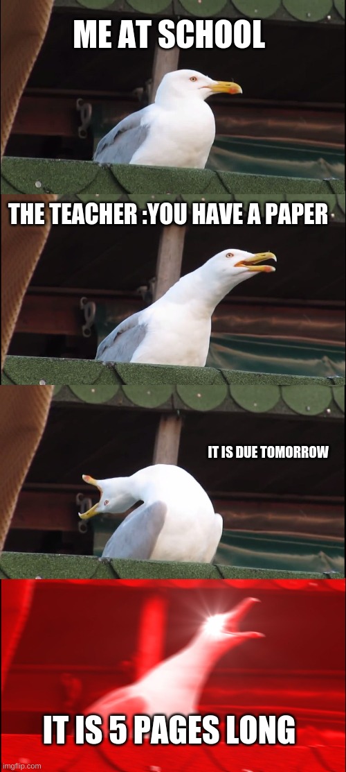 Inhaling Seagull Meme | ME AT SCHOOL; THE TEACHER :YOU HAVE A PAPER; IT IS DUE TOMORROW; IT IS 5 PAGES LONG | image tagged in memes,inhaling seagull | made w/ Imgflip meme maker