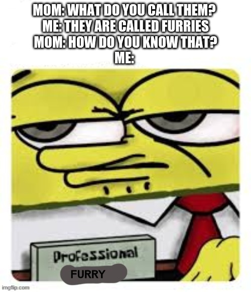 new template called professional spongebob | MOM: WHAT DO YOU CALL THEM? 
ME: THEY ARE CALLED FURRIES
MOM: HOW DO YOU KNOW THAT?
ME:; FURRY | image tagged in professional spongebob,memes,dank memes,furry | made w/ Imgflip meme maker