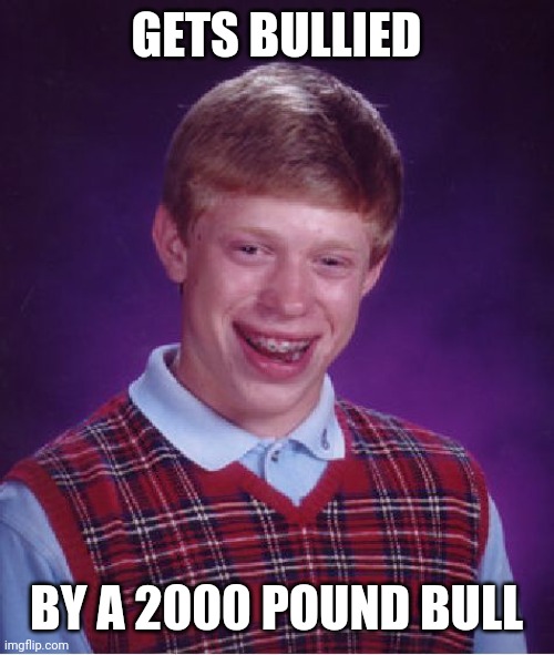 Bad Luck Brian | GETS BULLIED; BY A 2000 POUND BULL | image tagged in memes,bad luck brian | made w/ Imgflip meme maker