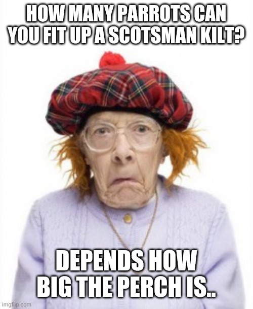 crazy scottish | HOW MANY PARROTS CAN YOU FIT UP A SCOTSMAN KILT? DEPENDS HOW BIG THE PERCH IS.. | image tagged in crazy scottish | made w/ Imgflip meme maker