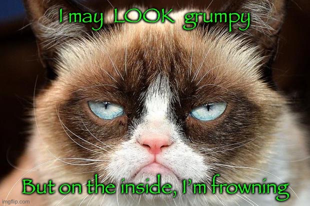 Grumpy Cat Not Amused Meme | I may  LOOK  grumpy; But on the inside, I’m frowning | image tagged in memes,grumpy cat not amused,grumpy cat | made w/ Imgflip meme maker